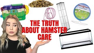 THE TRUTH ABOUT HAMSTER CARE  HAMSTER MISCONCEPTIONS [upl. by Cohdwell]