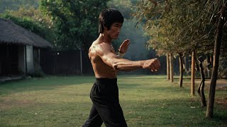 Remembering Bruce Lee A Tribute to the Martial Arts Legend [upl. by Erasme]