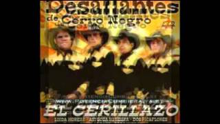 Cumbia Ranchera  Los Desafiantes de cerro negro New York Señor Juez Los Marineros [upl. by Aillimac345]