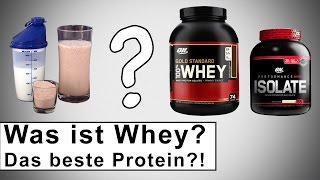 Was ist Whey Protein Wie wichtig ist es für den Muskelaufbau [upl. by Aneerak]