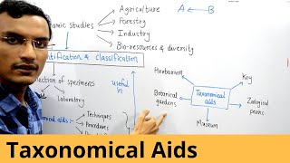 Taxonomical Aids  Class 11 NCERT [upl. by Anirol]