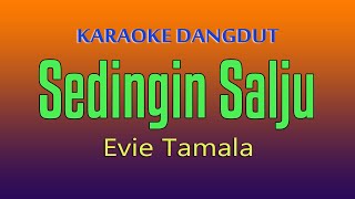 SEDINGIN SALJU  KARAOKE DANGDUT EVIE TAMALA [upl. by Nwahsuq464]