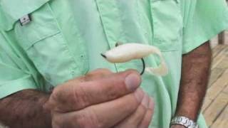 How to Bait a Fish Hook  Saltwater Fishing [upl. by Robby]