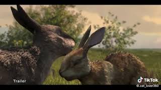 Watership down trailer [upl. by Yemrots]