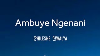 Chileshe Bwalya  Ambuye Ngenani lyrics [upl. by Akirehc]