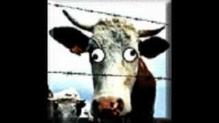 How to identify mad cow disease [upl. by Eninej408]