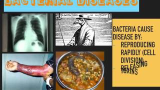 Communicable Diseases GCSE [upl. by Eegnat477]