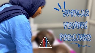 How To Examine and Measure The JVP Jugular Venous Pressure [upl. by Gnuj]