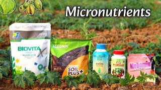 Micronutrients for plants  बेस्ट माइक्रोन्यूट्रिएंट्स फर्टिलाइजर  Micronutrients kya ha [upl. by Caterina]