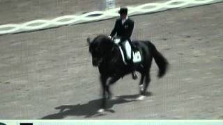 Alexander RathampTotilas Freestyle Grand Prix Aachen 2011 [upl. by Noe]