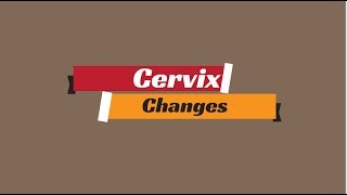 Cervix Changes During Ovulation  Cervix Position  3 Steps to Checking Your Cervix [upl. by Gabriell]