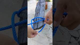 Tips of tying stick swing knot scaffold hitch bowline knot knots shorts [upl. by Yt560]