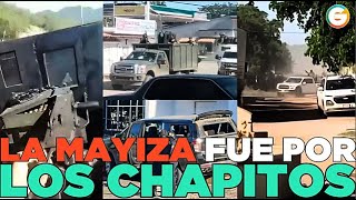 La Mayiza fue por Los Chapitos Culiacán Sinaloa [upl. by Naie]