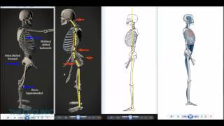 Fixing OP understanding your Center of Gravity part 1 [upl. by Bethesda]