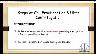 CONCEPT OF HOMOGENIZATION [upl. by Roos]