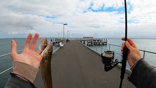 How To Start Jetty Fishing Beginners Guide [upl. by Fenner]