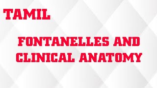 FONTANELLES AND CLINICAL ANATOMY IN TAMIL [upl. by Dralliw]