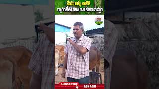 ఇదో ఎక్స్‌ట్రా గ్యారంటీ ఏంటది  Extra Guarantee   ABN Agri [upl. by Yesteb]