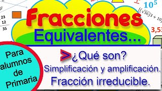 Fracciones equivalentes para alumnos de primaria [upl. by Kcin393]