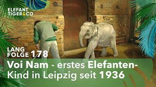 Rhani und ihre Familienbande Langfolge 178  Elefant Tiger amp Co  ARD [upl. by Geno]