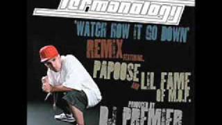 TERMANOLOGY ft Lil Fame amp Papoose  Watch how it go down Remix pros DJ Premier [upl. by Ulphiah]