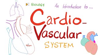 Anatomy and Physiology Help Chapter 20 Cardiovascular System [upl. by Roman330]