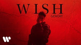 GDUCKY  WISH OFFICIAL MUSIC VIDEO [upl. by Jarvis97]