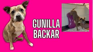 Gunilla backar she backs up [upl. by Nani]