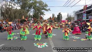 Buyagan Elementary School Drum and Lyre Strawberry Festival 2019 [upl. by Tiebout]