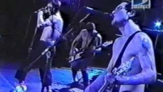 Red Hot Chili Peppers  Rock in Rio 2001 [upl. by Gautious]