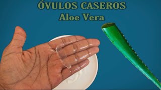 🌈CÓMO HACER Ó𝗩𝗨𝗟𝗢𝗦 𝗗𝗘 𝗦Á𝗕𝗜𝗟𝗔 O ALOE VERA NATURAL [upl. by Gorden972]