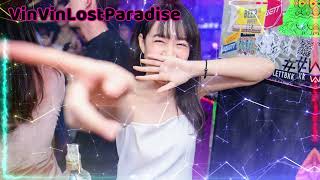 VinVin Lost Paradise【在加纳共和国离婚 ● 年轻不懂爱 ● 根本你不懂得爱我 ● 离别开出花 ● 身骑白马】2024慢摇 MANYAO REMIX ♪ DJ BRAKE [upl. by Anetta410]