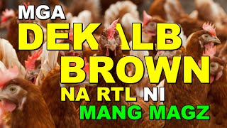 MGA DEKALB BROWN NA RTL NI MANG MAGZ [upl. by Cherianne]