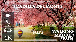 Boadilla del Monte en primavera 🏠 tour andando 4K parte 2  Pueblos bonitos de Madrid  España [upl. by Etteval]