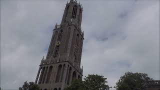 Domklokken Utrecht volgelui plenum zaterdag 24 augustus 2024 [upl. by Jarlen]