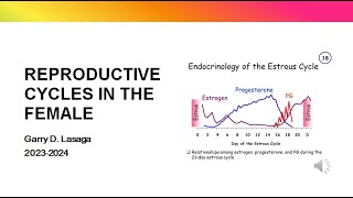 VET ENDO  Reproductive Cycles Part I  2023 [upl. by Brian]