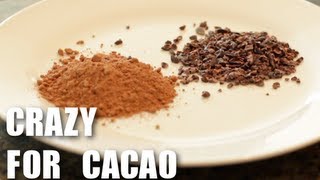 Cacao  Superfood  Healthy Recipes [upl. by Quillan]