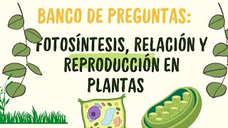 Práctica de biología Fotosíntesis relación y reproducción en plantas [upl. by Harad]