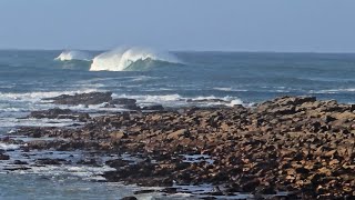 5 Jul 24 Seals Beach  early morning empties [upl. by Shayla164]