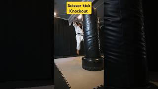 shorts Scissor kick knockout fightingtechniques combatsport [upl. by Navak]