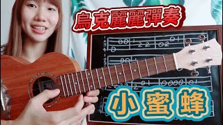 小蜜蜂烏克麗麗超簡單彈奏教學 [upl. by Jenks]