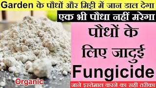 How to Use Trichoderma Viride In Gardening IN HINDI Biofungicide Trichoderma For Gardening [upl. by Ellery]