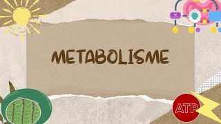 Metabolisme Bagian 1  Materi Biologi Kelas 12 [upl. by Kcolttam995]