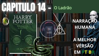 Harry Potter e as Relíquias da Morte ⚡ CAPITULO 14 Audiolivro em PTBR [upl. by Solenne]