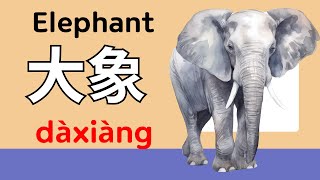 Learn Chinese Animals with 100 Flashcards  Chinese Vocabulary [upl. by Allin930]