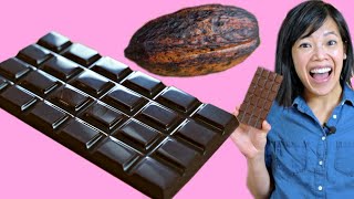 Cocoa POD to CHOCOLATE Bar  How to Make A DIY BeantoChocolate Bar at Home [upl. by Zavala542]