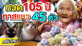 น่ารักไม่ไหว ความฝันของทวด 105 ปี ขอทุนซื้อข้าวเลี้ยงแมว ยายสงวน ก๋วยเตี๋ยว 5 แผ่นดิน  SUPER100 [upl. by Atina874]