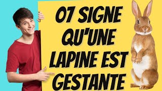 ÉLEVAGE DES LAPINS  voici 07 signe qui montre quune lapine va bientôt mettre bas [upl. by Yleoj]