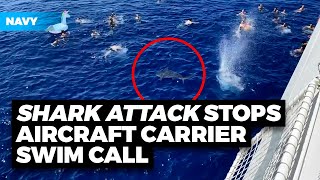 Aircraft Carrier Swim Call Interrupted by SHARK ATTACK [upl. by Jadd]