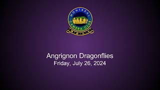 Angrignon Dragonflies [upl. by Atsuj]